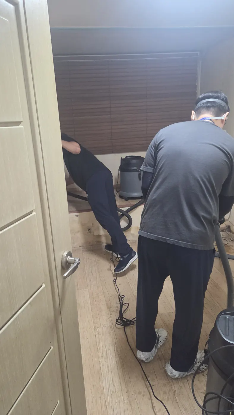 습식 진공 작업 — 부평구 침수청소 현장